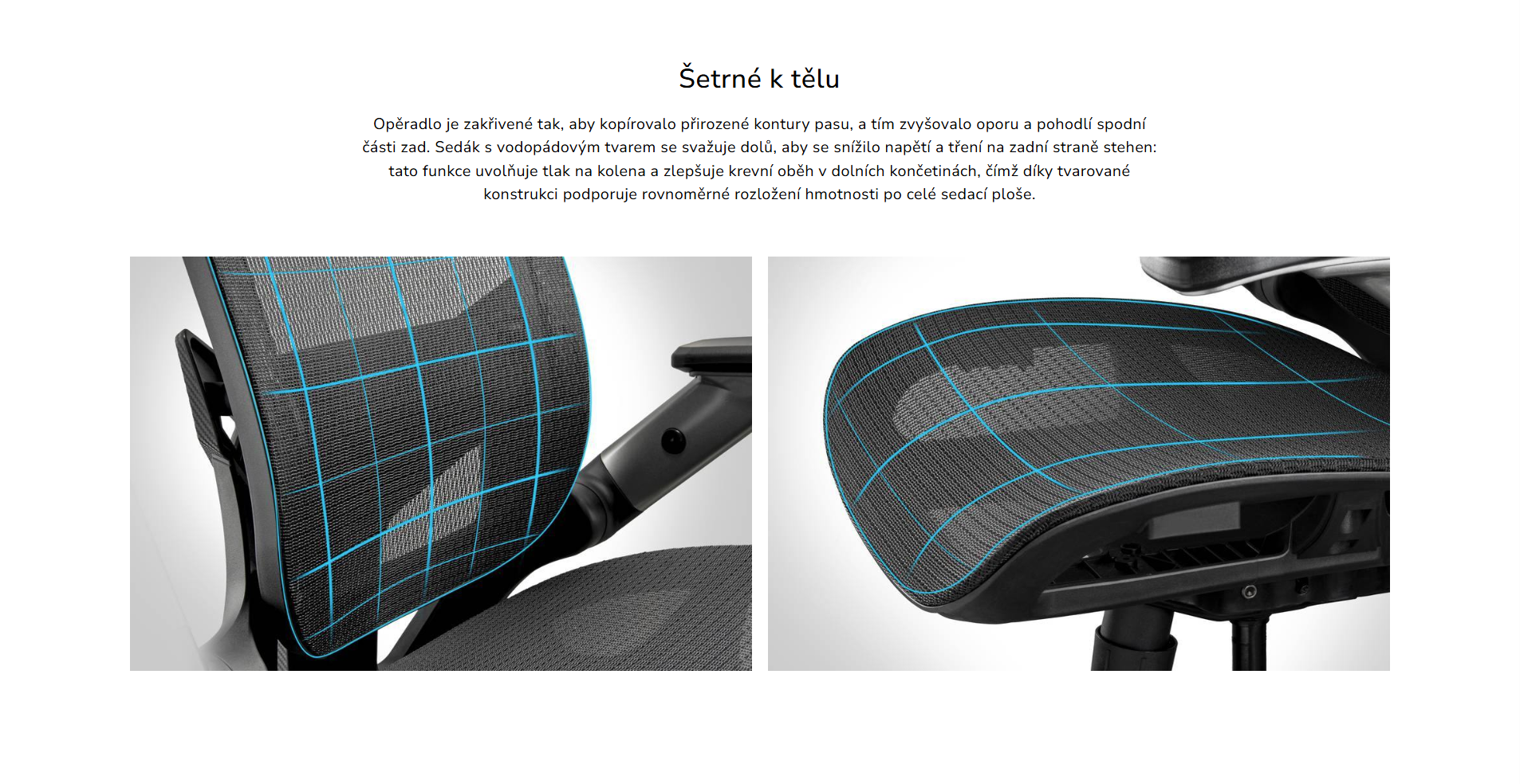 Snímek obrazovky 2026-03-12 103719